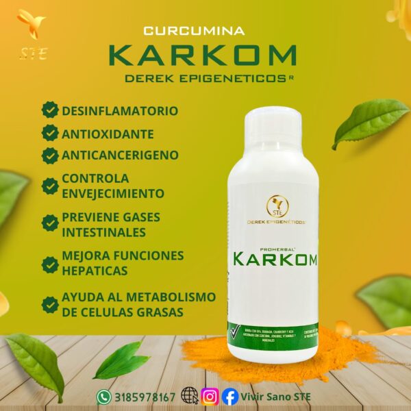 CURCUMINA KARKOM - Image 2