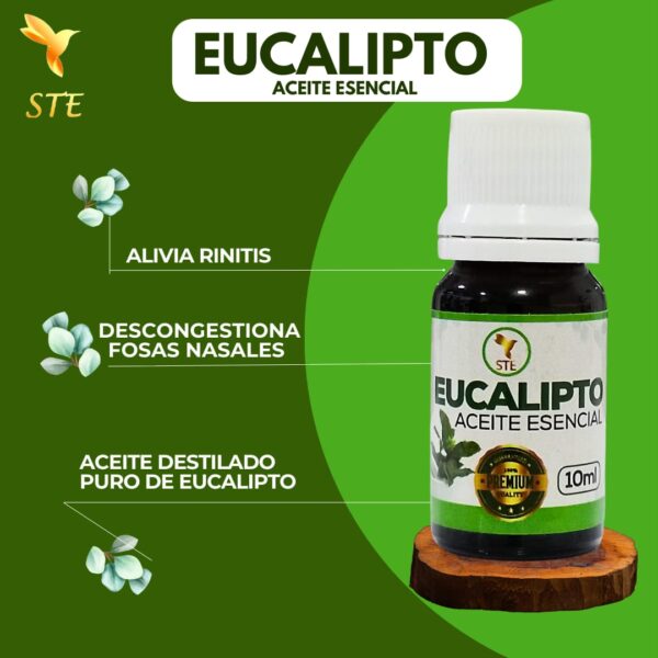 EUCALIPTO ACEITE ESENCIAL - Image 2