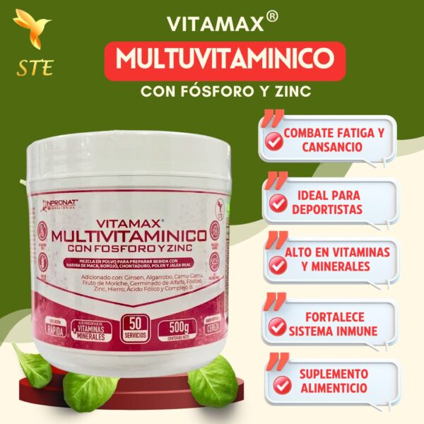 VITAMAX MULTIVITAMÍNICO 500 g - Image 2