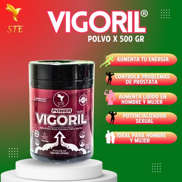 VIGORIL polvo 500 g - Image 2