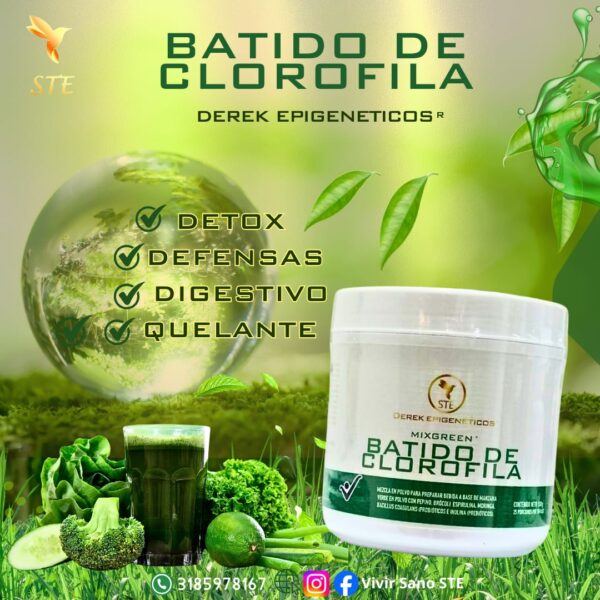 MIXGREEN - BATIDO DE CLOROFILA - Image 2